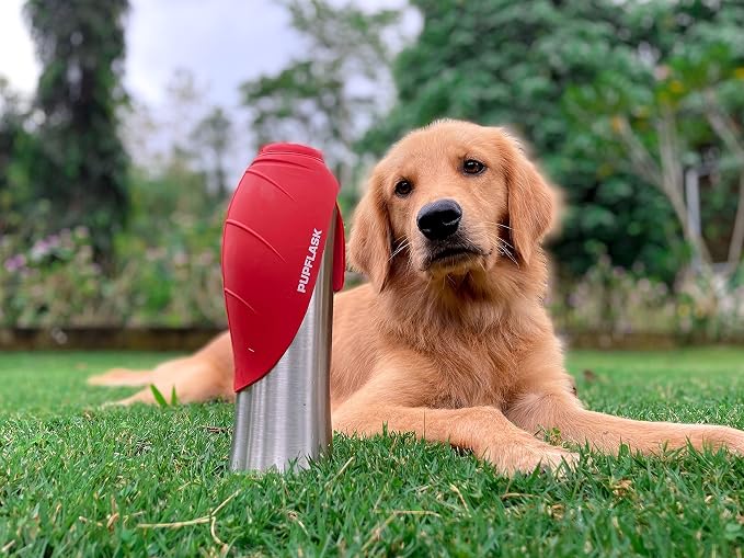 PupFlask Large Dog Water Bottle | 27 or 40 OZ Stainless Steel | Convenient Dog - Image 9