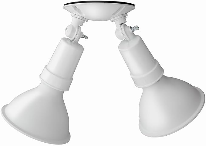 Lithonia Lighting Outdoor Flood Light Fixture, Adjustable Twin Par Flood Light - Image 10