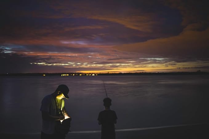 MagLite 3C Cell LED Flash Light - Image 3