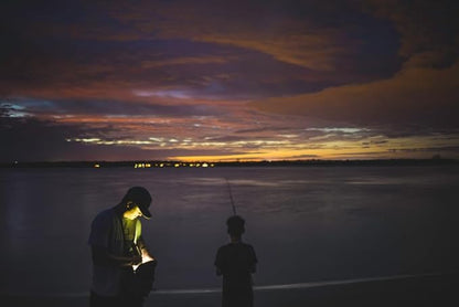 MagLite 3C Cell LED Flash Light - Image 3