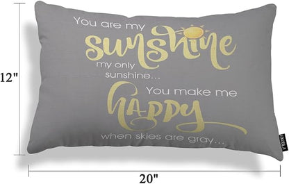 EKOBLA Motivational Phrase Pillow Cover You are My Sunshine Yellow On Gray - Image 5