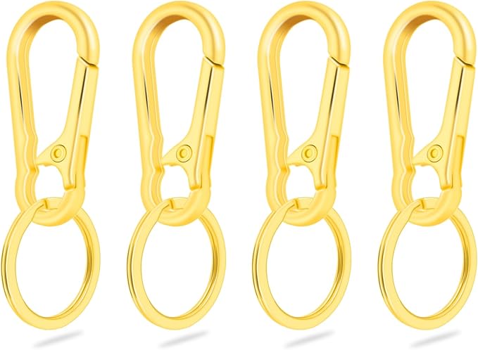 CooBigo 4Pack Small Keychain Rings, Metal Key Carabiner Clip, Mini EDC Key Ring by CooBigo