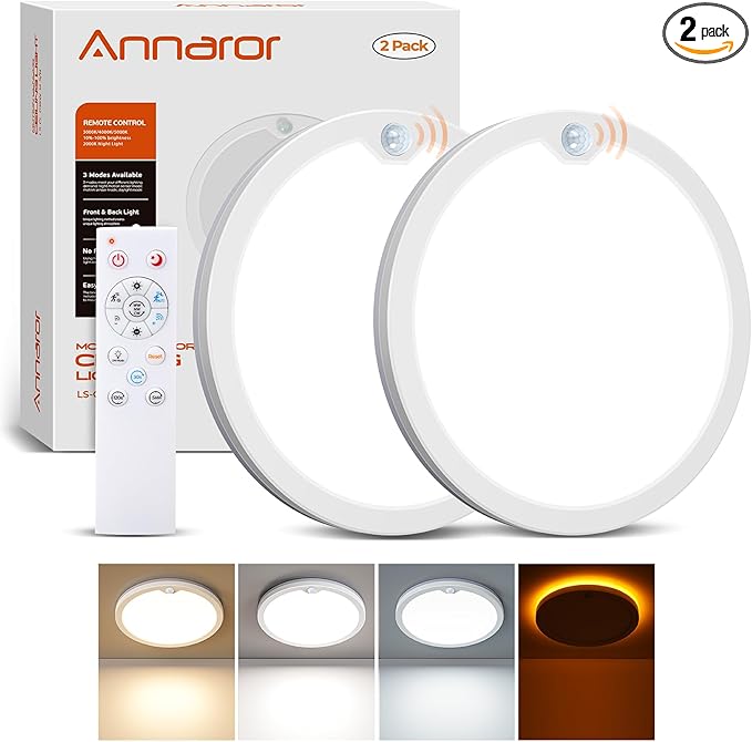 Annaror 2Pack Motion Ceiling Light by Annaror