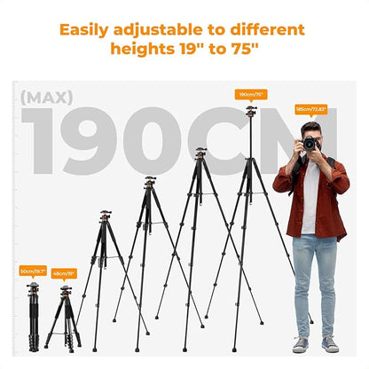 K&F CONCEPT 75 inch/190cm Camera Tripod, Lightweight Travel Outdoor DSLR Tripods - Image 5