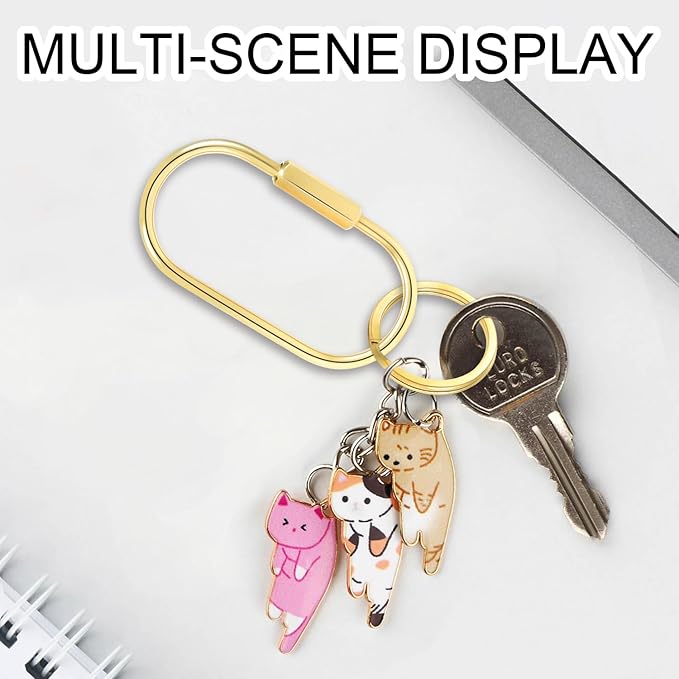 CooBigo 3 Pack Gold Brass Key Ring, Screw Lock Key Organizer - Image 2