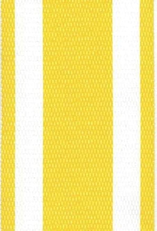 Lawn Chair USA Replacement Lawn Chair Webbing by LawnChairUSA