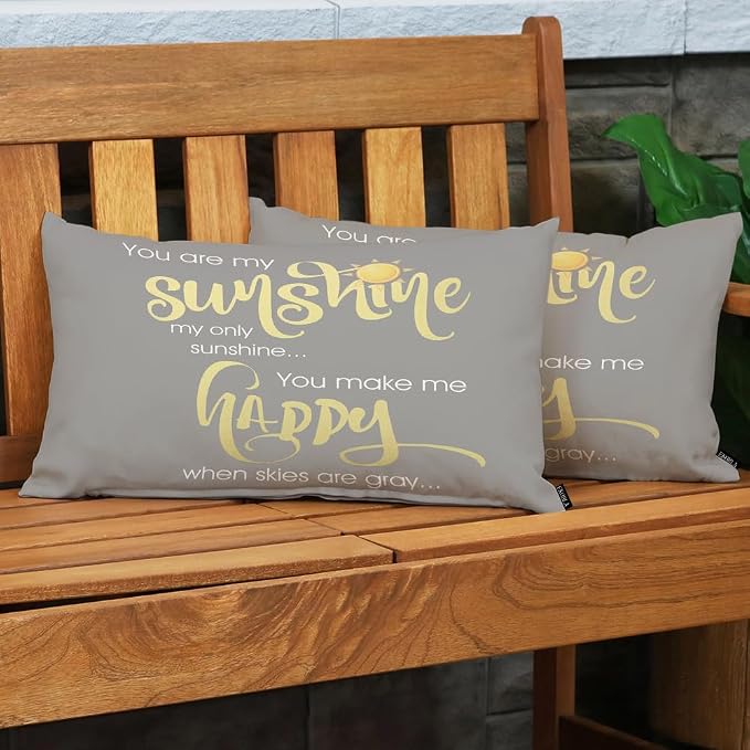 EKOBLA Motivational Phrase Pillow Cover You are My Sunshine Yellow On Gray - Image 3