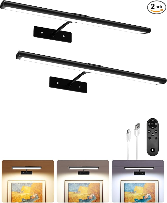 EZVALO Picture Light for Wall, Dimmable Magnetic LED Art Painting Light by EZVALO
