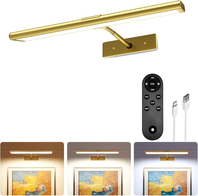 EZVALO Picture Light for Wall, 4800mAh Rechargeable Wireless Remote, 13in by EZVALO
