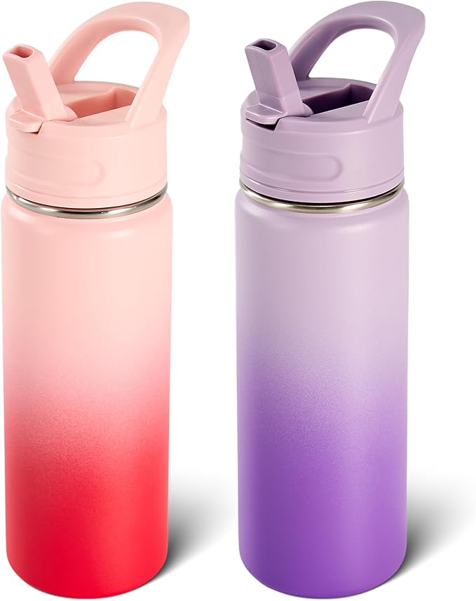 Fijinhom 2 Pack 18oz Insulated Stainless Steel Water Bottle by Fijinhom