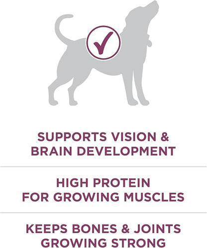 Purina ONE Plus Healthy Puppy Formula High Protein Natural Dry Puppy Food - Image 4