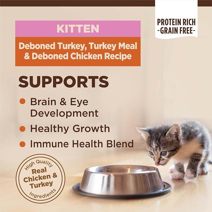 Wellness CORE Kitten Dry Cat Food, Grain Free Kibble, Turkey Meal and Chicken - Image 2