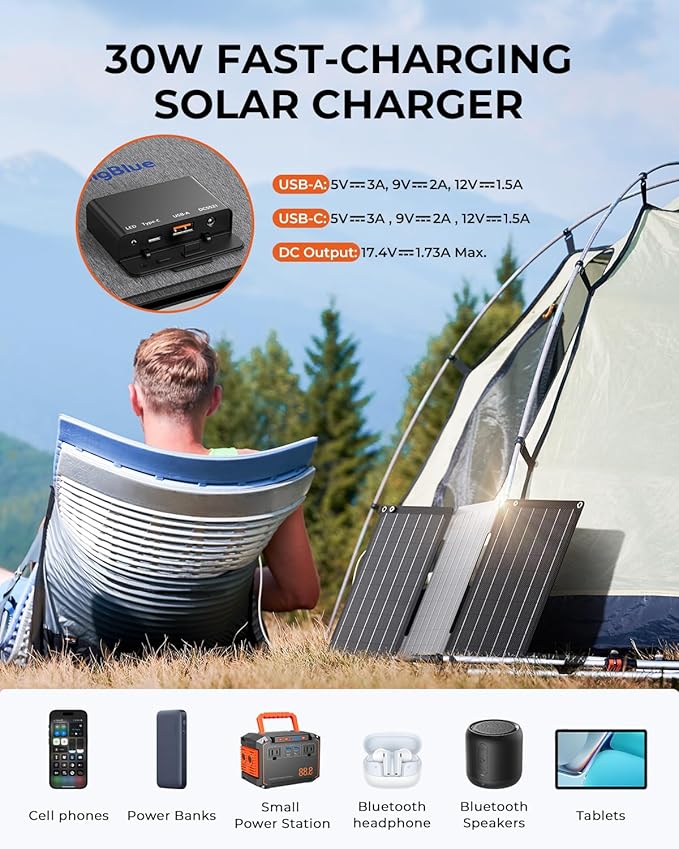 BigBlue 30W Solar Panel Charger - Image 2