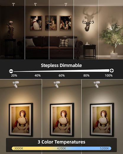 EZVALO Battery-Powered LED Spotlight Indoor, Wireless Picture Lights - Image 3