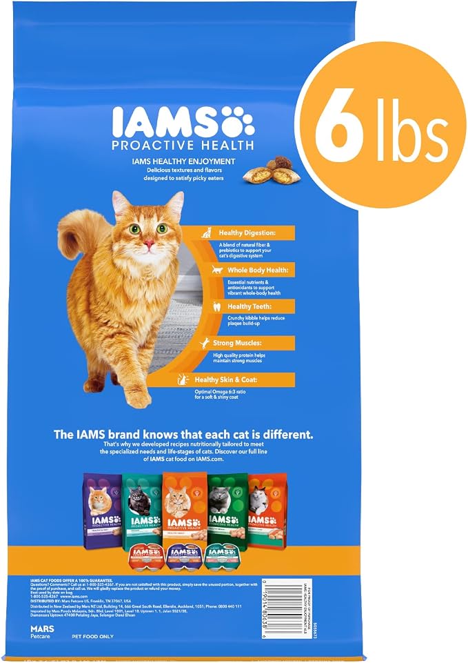 IAMS Healthy Enjoyment Dry Cat Food Chicken & Salmon Recipe, Cat Food Dry Recipe - Image 2