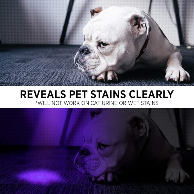 GearLight UV Flashlight Black Light from 68 LED Blacklight Flashlight Dog/Cat - Image 7