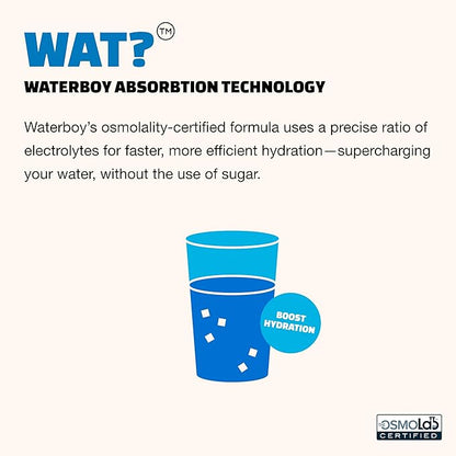 Waterboy Daily Hydration | 1, 570mg Electrolyte Powder Packets | No Sugar - Image 6