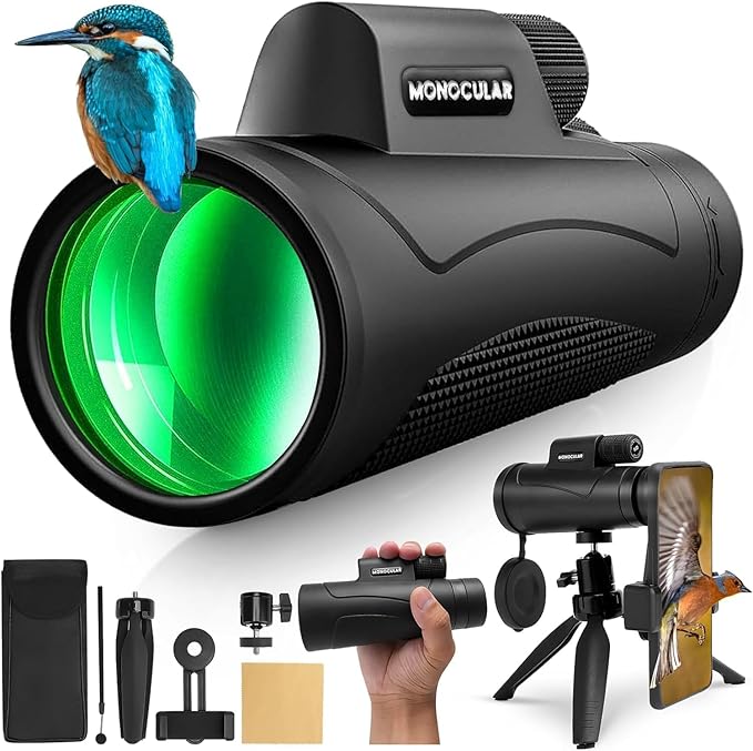Asacam® 2025 Update by Asacam