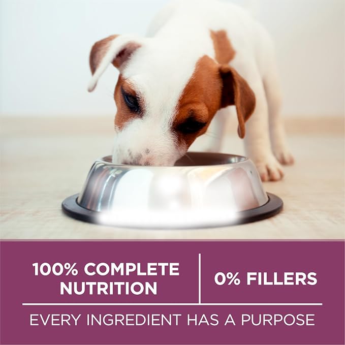 Purina ONE Plus Healthy Puppy Formula High Protein Natural Dry Puppy Food - Image 8