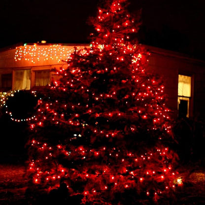 TW SHINE Valentine's Day Red Lights, 20FT 100 Count Incandescent Christmas Mini - Image 5