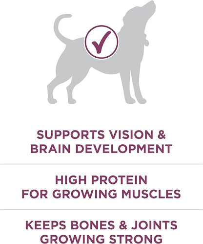 Purina ONE Plus Healthy Puppy Formula High Protein Natural Dry Puppy Food - Image 3