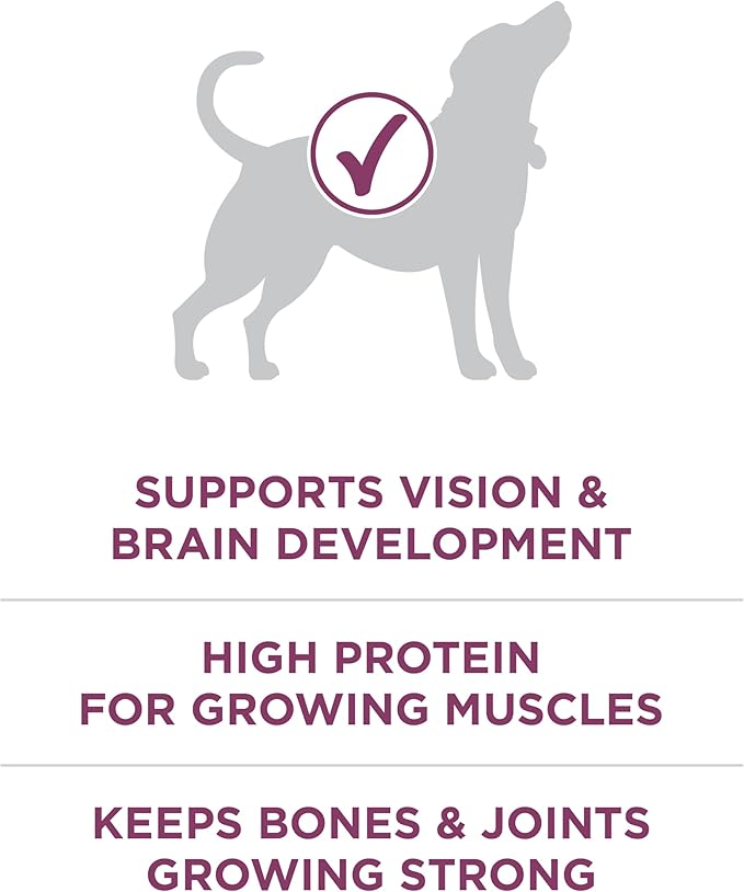 Purina ONE Plus Healthy Puppy Formula High Protein Natural Dry Puppy Food - Image 3