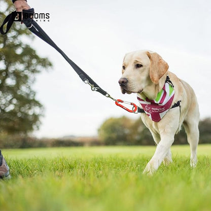Booms Fishing CC5 Multi-Use Carabiner Clips, 10 Pack 2.3"/ 3.1" Caribeener Clips - Image 4