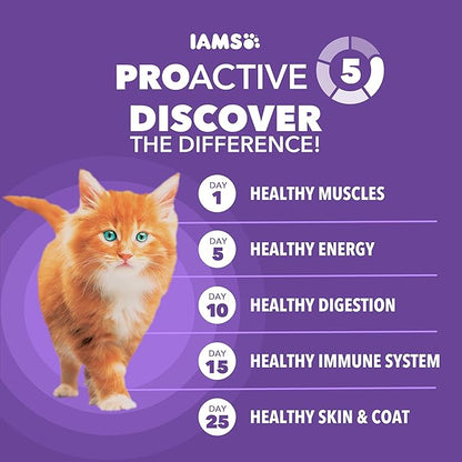 IAMS Proactive Health Kitten Dry Cat Food, Healthy Kitten Food Dry Recipe - Image 5