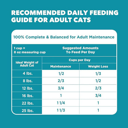 IAMS Proactive Health Dry Cat Food, Indoor Weight and Hairball Care Cat Food - Image 9