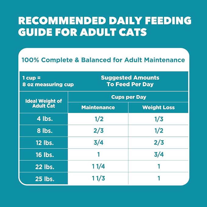 IAMS Proactive Health Dry Cat Food, Indoor Weight and Hairball Care Cat Food - Image 8