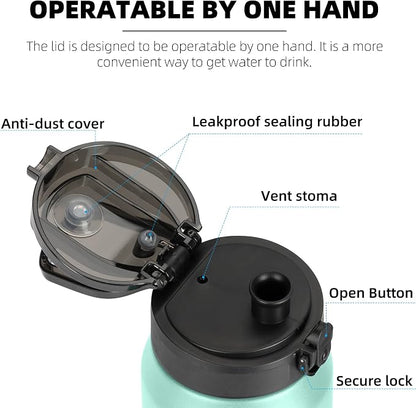 Fanhaw 24 oz Insulated Stainless Steel Water Bottle - Image 2