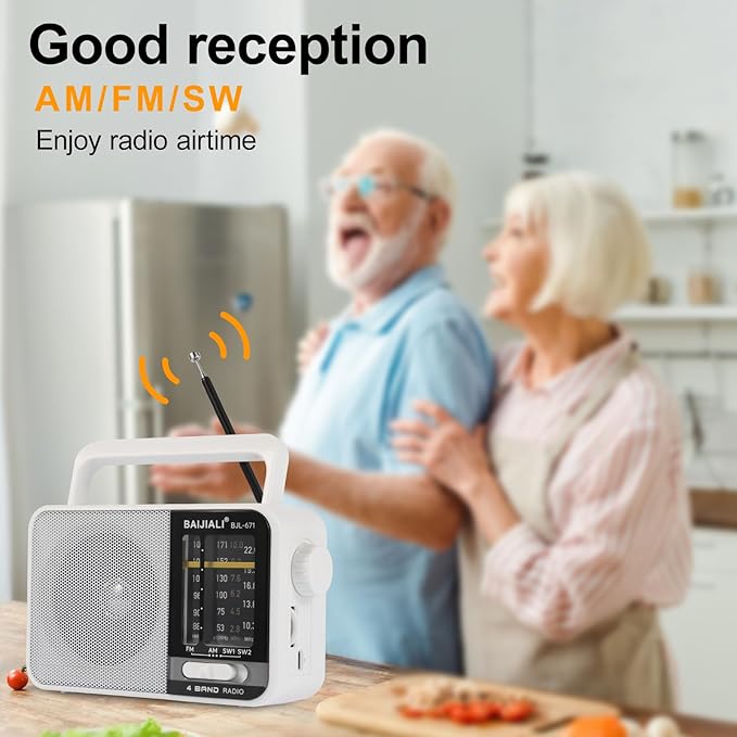 BAIJIALI AM FM SW Portable Radio - Image 3