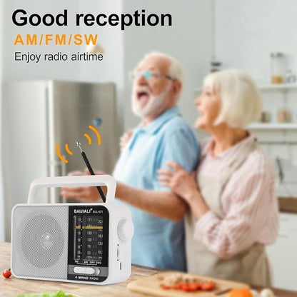 BAIJIALI AM FM SW Portable Radio - Image 3