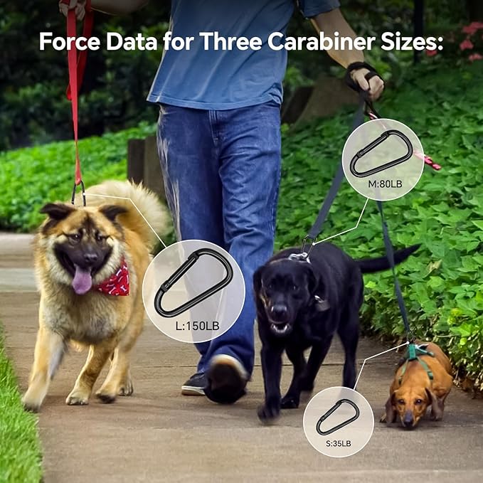 Black Carabiner Clip, Includes Mini 2 Inch Carbineers, Small 2.3" D Ring Clip - Image 2