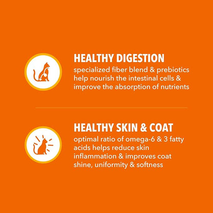 IAMS Proactive Health Dry Cat Food, Healthy Cat Food Dry Recipe - Image 5