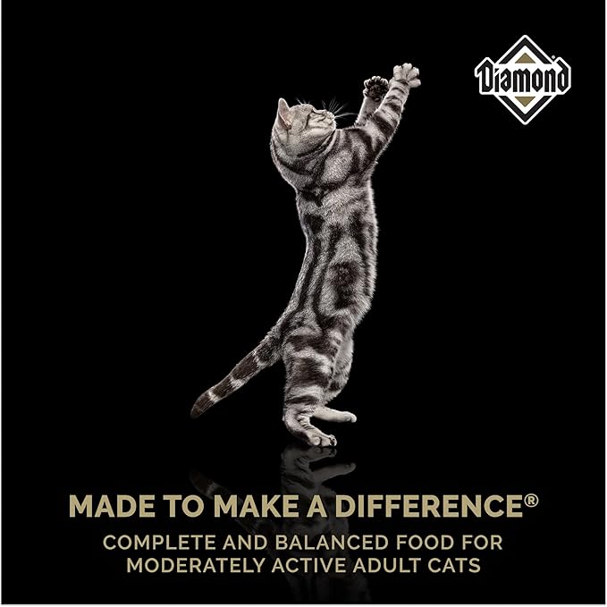 Diamond Maintenance Cat Dry Food 30/15 - Image 7