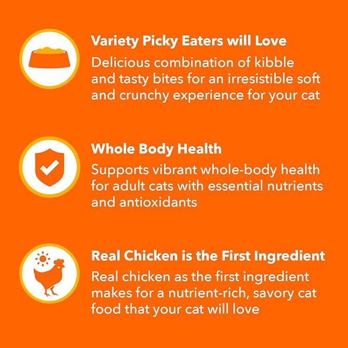 IAMS Healthy Enjoyment Dry Cat Food Chicken & Salmon Recipe, Cat Food Dry Recipe - Image 4