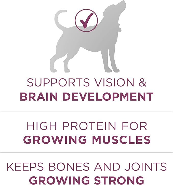 Purina ONE Puppy Food, High Protein Formula | Natural Ingredients | Added - Image 6