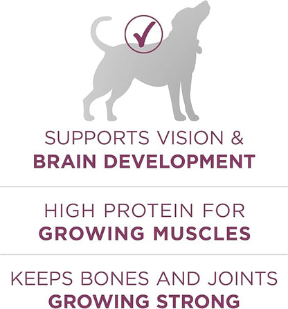 Purina ONE Puppy Food, High Protein Formula | Natural Ingredients | Added - Image 6