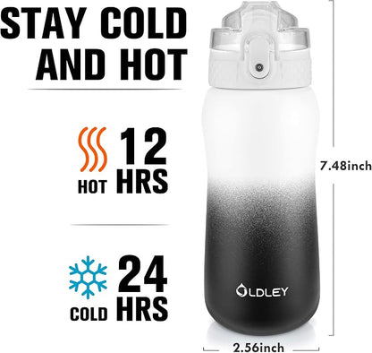 OLDLEY Insulated Water Bottle 12oz Water Bottles - Image 3
