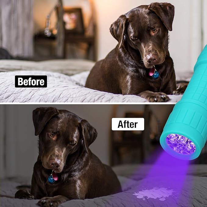 EverBrite Black Light Flashlight 6 Pack, UV Mini Flashlight, 9-Led 395nm - Image 3