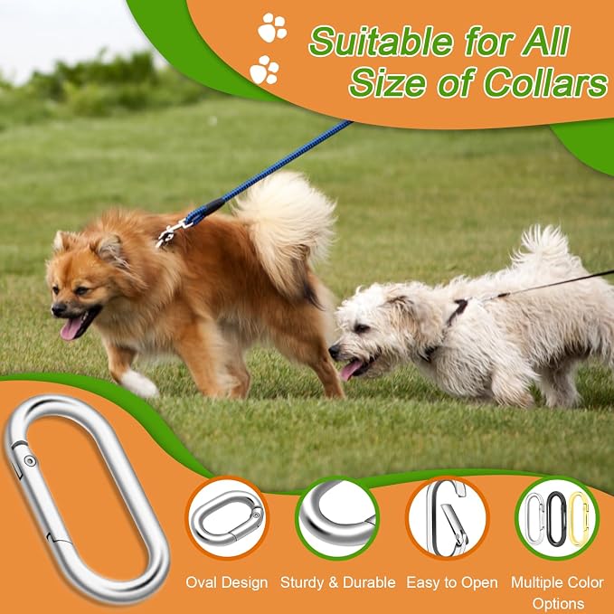 CooBigo 10Pack Oval Large Carabiner Clip, Metal Spring Carabiner Clips - Image 3