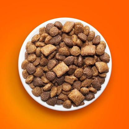 IAMS Healthy Enjoyment Dry Cat Food Chicken & Salmon Recipe, Cat Food Dry Recipe - Image 5