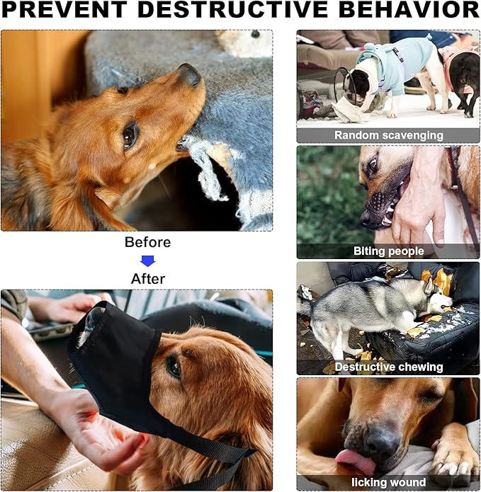 Dog First Aid Kit - Image 6