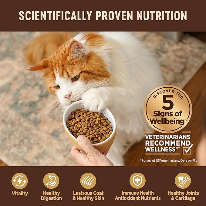 Wellness CORE Adult Dry Cat Food, Grain Free Kibble, Turkey and Chicken Recipe - Image 4