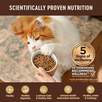Wellness CORE Adult Dry Cat Food, Grain Free Kibble, Turkey and Chicken Recipe - Image 4