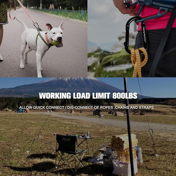 Carabiner Clip - Heavy Duty Carabiners 800lbs-13KN Carabeaner D Ring Shape - Image 7