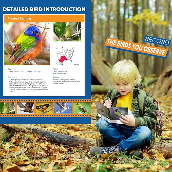 Toys for 3-7 Year Old Girl Boy: LET'S GO! Bird Watching Binoculars for Kids - Image 4