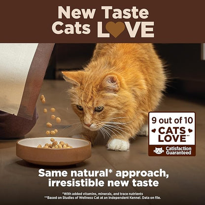 Wellness CORE+ Adult Dry Cat Food - Image 5