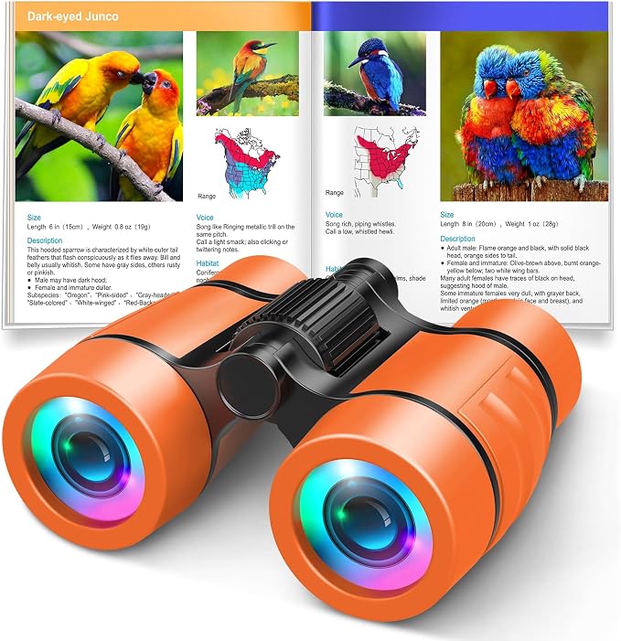 3-8 Year Old Boy Girl Toys: LET'S GO! Shockproof Binoculars by LETSGO